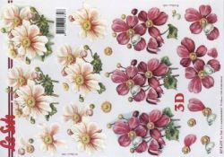 Blumen apricot + pink - Le Suh 8215419